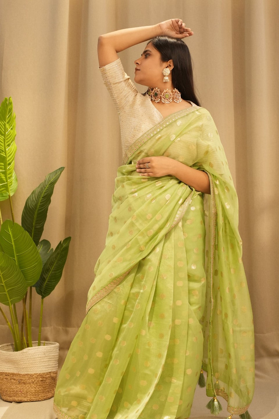 Green Organza Saree